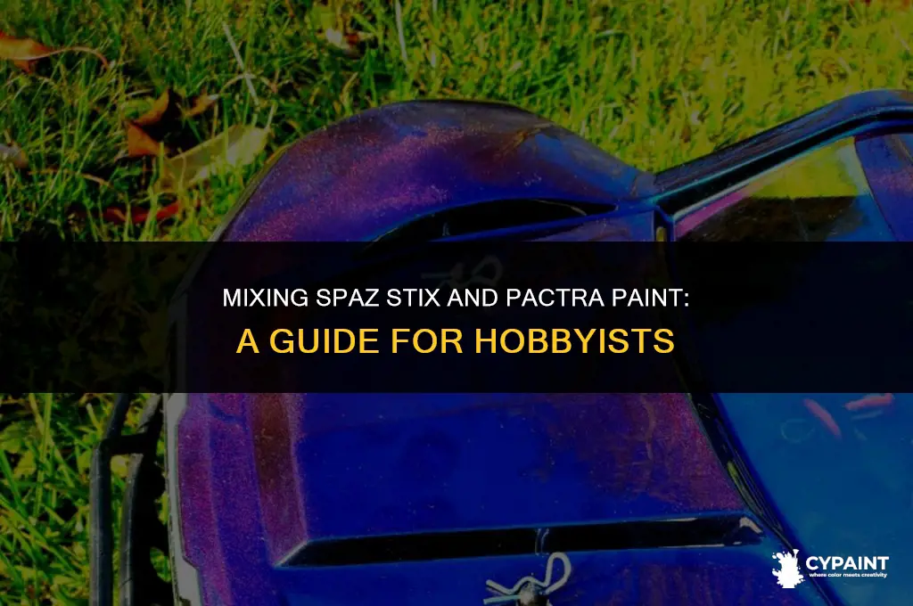 can you mix spaz stix and pactra paint