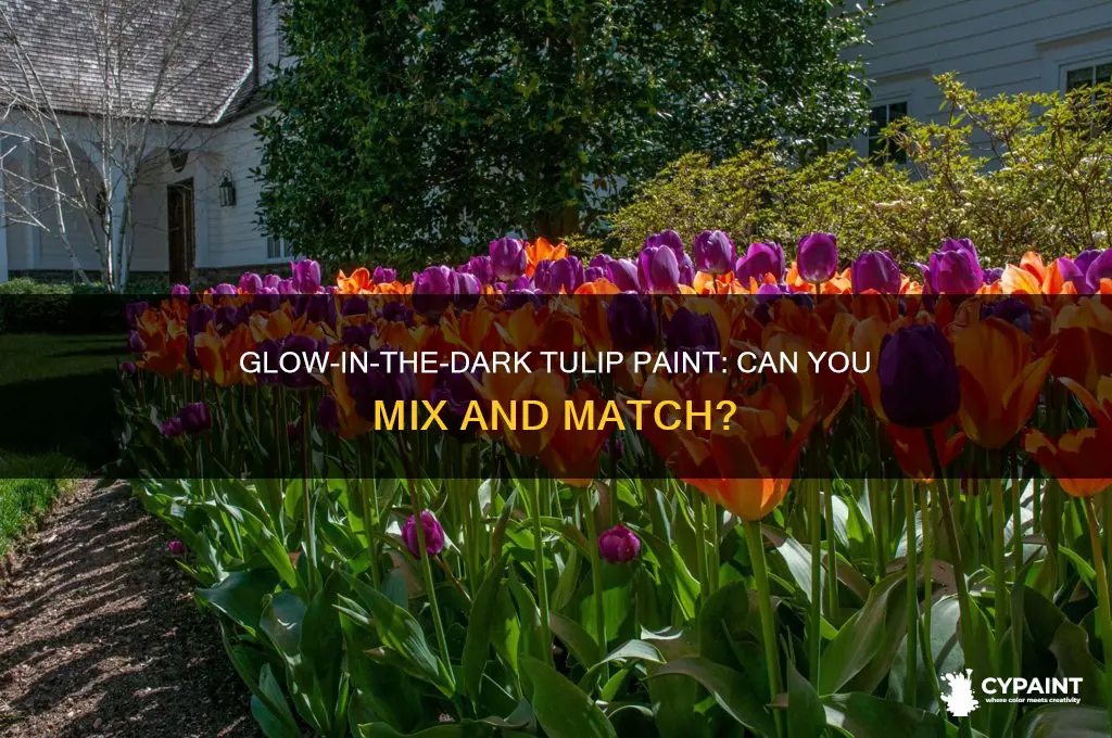 can you mix tulip glow in the dark paint