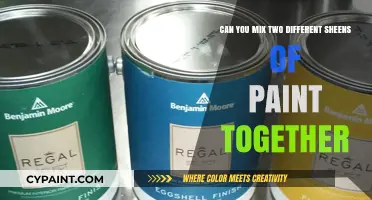 Combining Paint Sheens: Pros, Cons, and Tips