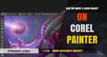 Master Lasso Tool Movement in Corel Painter