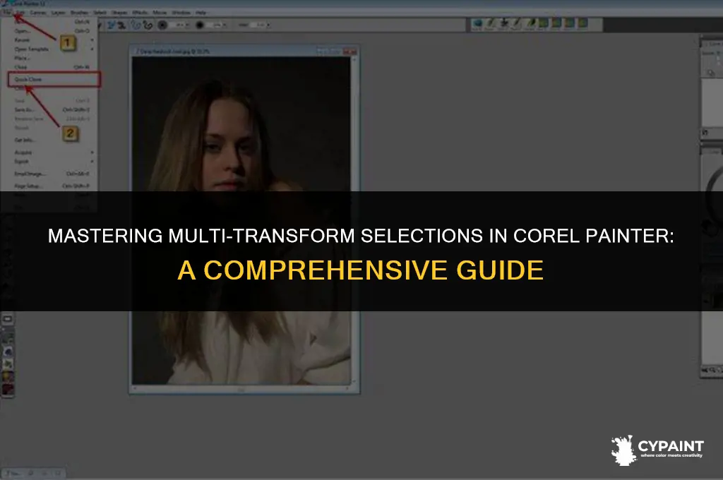 can you multi transform selection in corel painter