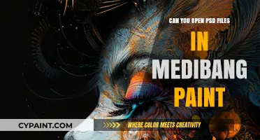 Exploring PSD File Compatibility with Medibang Paint: A Comprehensive Guide
