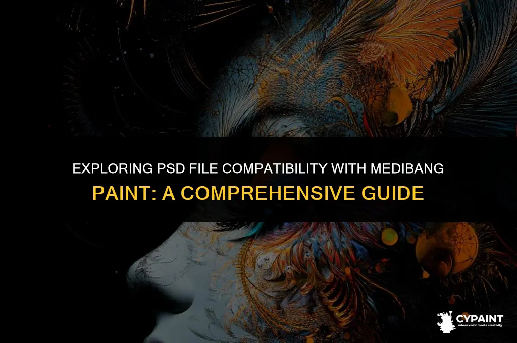 can you open psd files in medibang paint