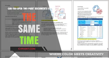 How to Open and Work with Multiple Paint Documents Simultaneously