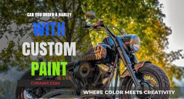 Personalize Your Ride: Ordering a Harley with Custom Paint