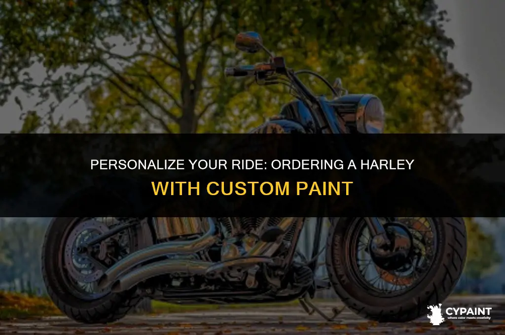 can you order a harley with custom paint