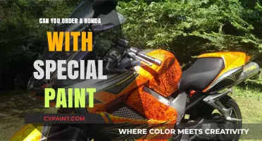 Exploring Custom Paint Options for Your Honda: A Buyer's Guide