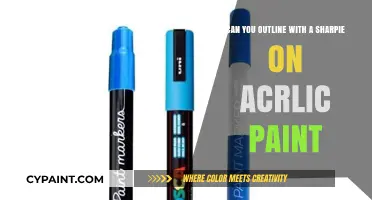 Sharpie Art: Acrylic Paint and Permanent Marker Techniques
