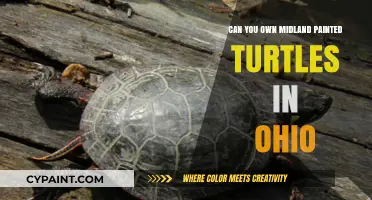 Exploring the Legality of Midland Painted Turtles as Pets in Ohio