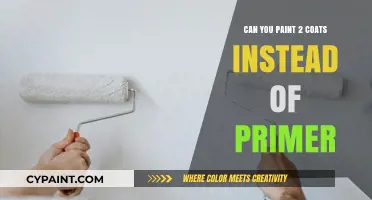 Primer vs. Paint: Can You Skip Primer for a Second Coat?