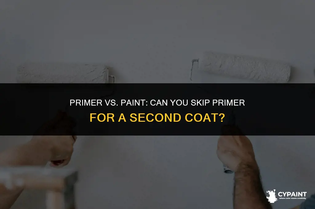 can you paint 2 coats instead of primer