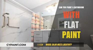 Revamping Your Bathroom: The Pros and Cons of Using Flat Paint