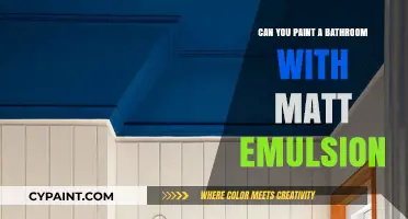 Revamping Your Bathroom: The Pros and Cons of Using Matt Emulsion Paint