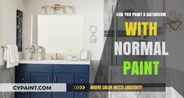 Revamping Your Bathroom: The Pros and Cons of Using Regular Paint