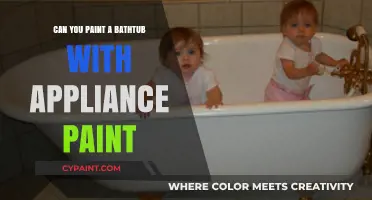 Revamping Your Bathtub: The Do's and Don'ts of Appliance Paint