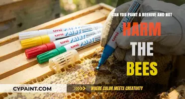 Painting Beehives: Safe Practices to Protect Your Bee Colony