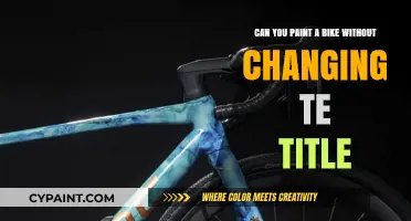Paint Your Bike, Keep the Title: A Guide