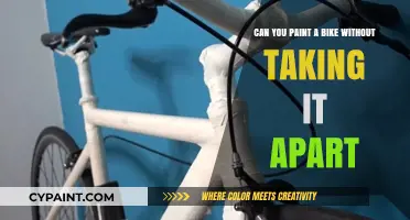 Painting Your Bike: Keep It Whole or Take It Apart?