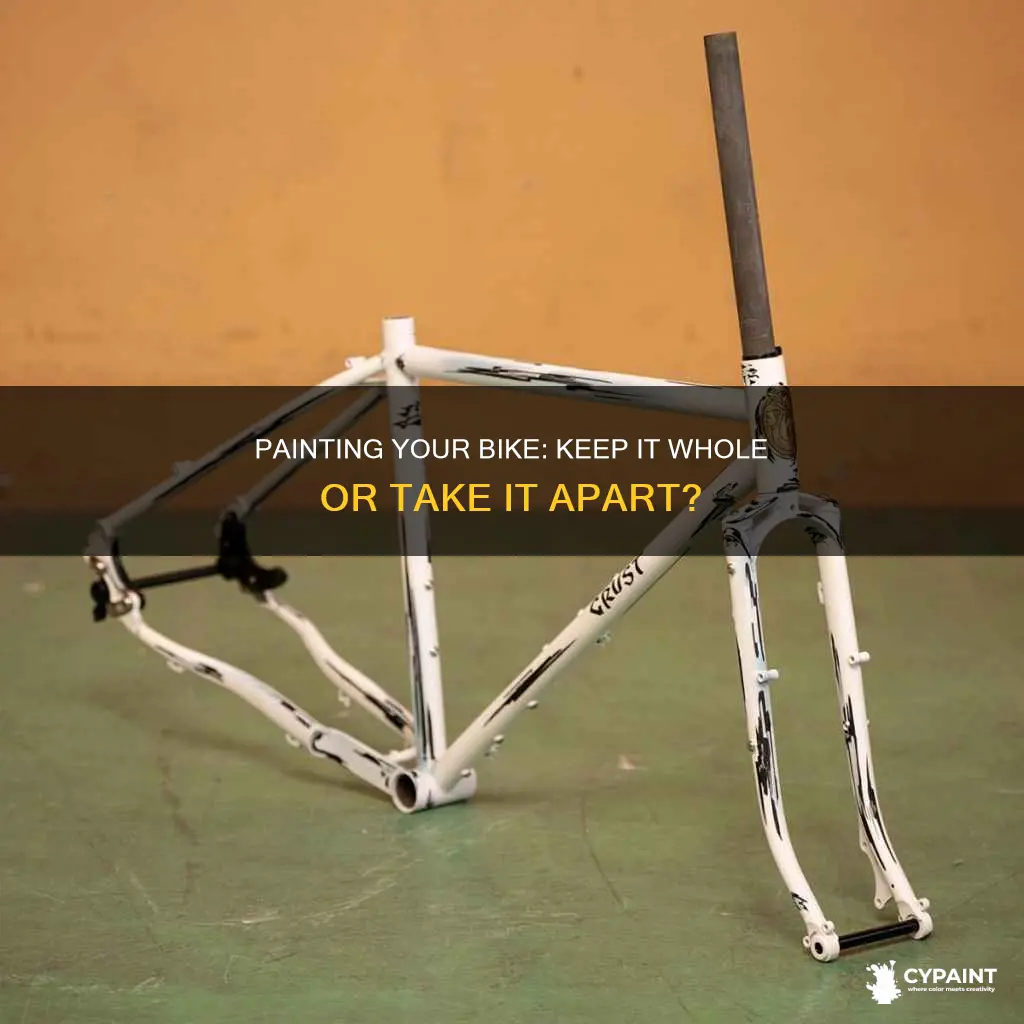 can you paint a bike without taking it apart