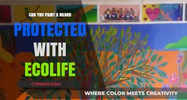 Reviving Your Ecolife-Protected Board: A Painter's Guide