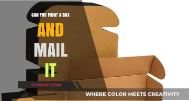 Transforming Packages: The Art of Painting and Mailing Boxes