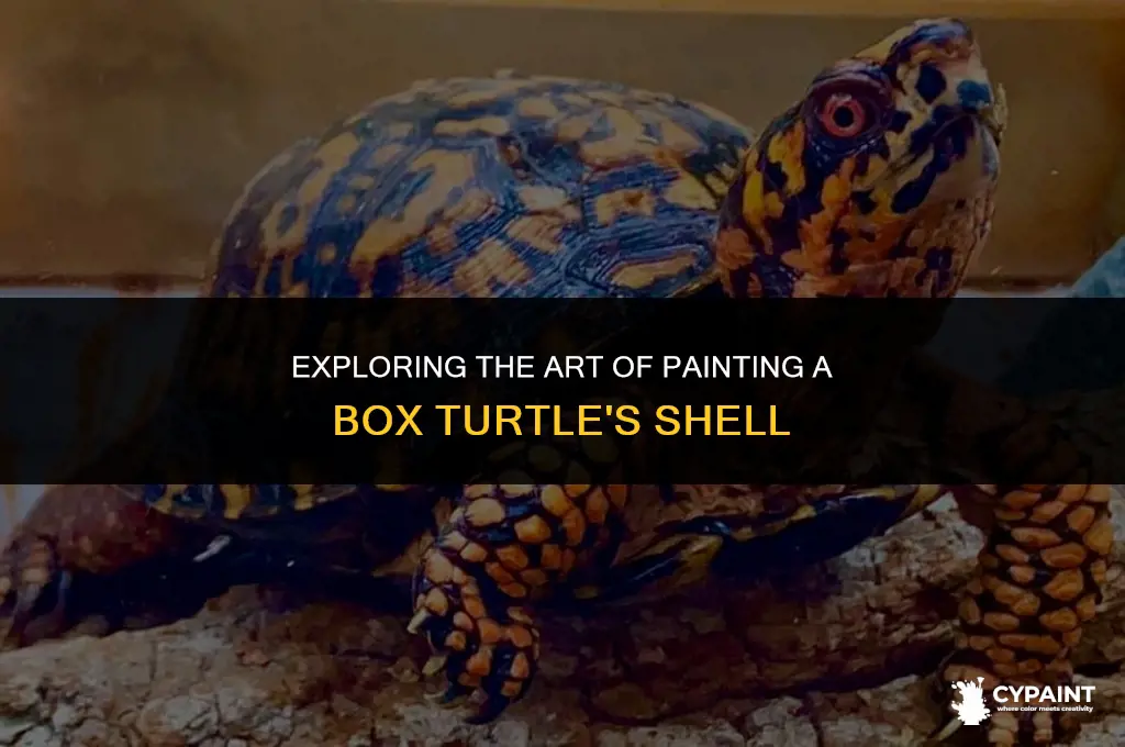 can you paint a box turtle