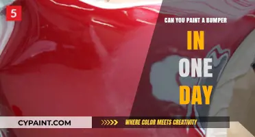 Revamp Your Ride: Painting a Bumper in a Day - Yes, It's Possible!
