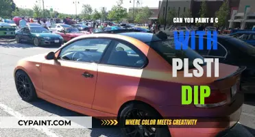 Exploring the Art of Custom Car Painting with Plasti Dip