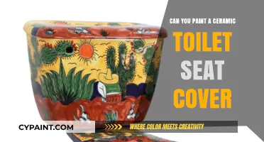 Revamping Your Bathroom: A Guide to Painting Ceramic Toilet Seat Covers