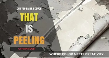 Reviving Your Worn-Out Sofa: A Guide to Painting Peeling Couches