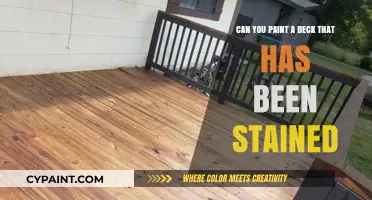 Stained Deck Makeover: Paint or Not to Paint?