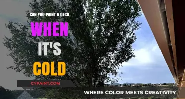 Cold Weather Deck Painting: What You Need to Know