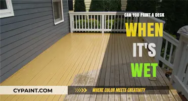How to Paint a Wet Deck?