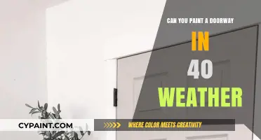 Painting a Doorway in 40 Weather: Tips and Tricks for Success