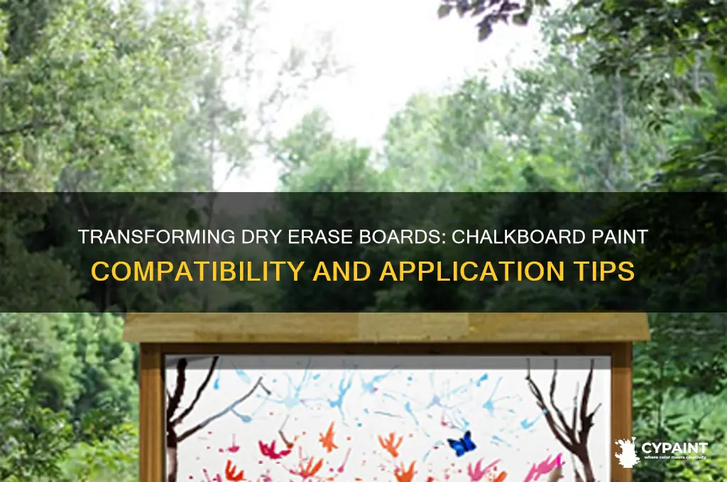 can you paint a dry erase board with chalkboard paint