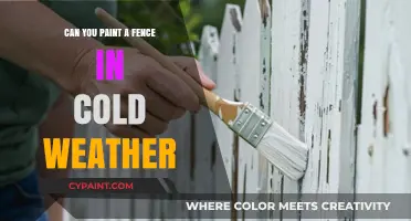 Chilly Weather Fence Painting: Tips and Tricks for Success