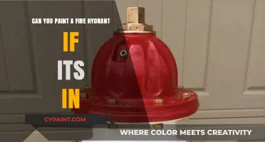 Painting Public Property: Fire Hydrants and the Law