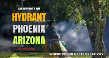 Reviving Phoenix's Fire Hydrants: A Colorful Community Initiative