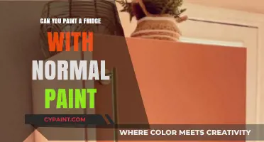 Revamping Your Kitchen: Can You Paint a Fridge with Normal Paint?