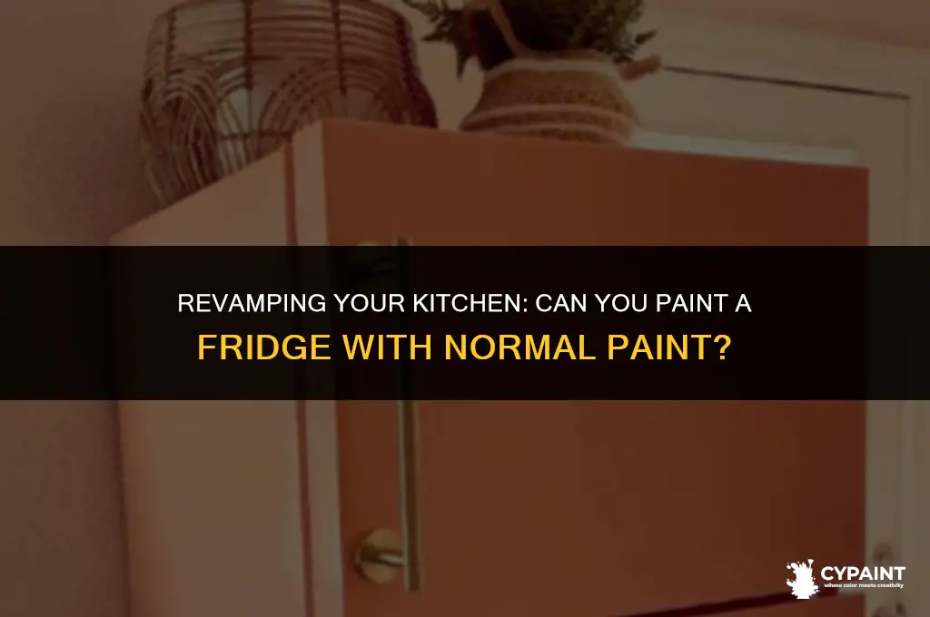 can you paint a fridge with normal paint
