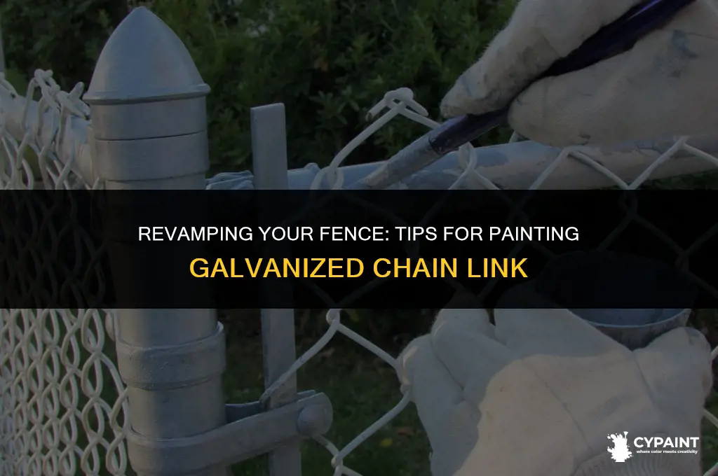 can you paint a galvanized chain link fence