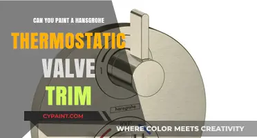 Revamping Your Bathroom: Painting a Hansgrohe Thermostatic Valve Trim