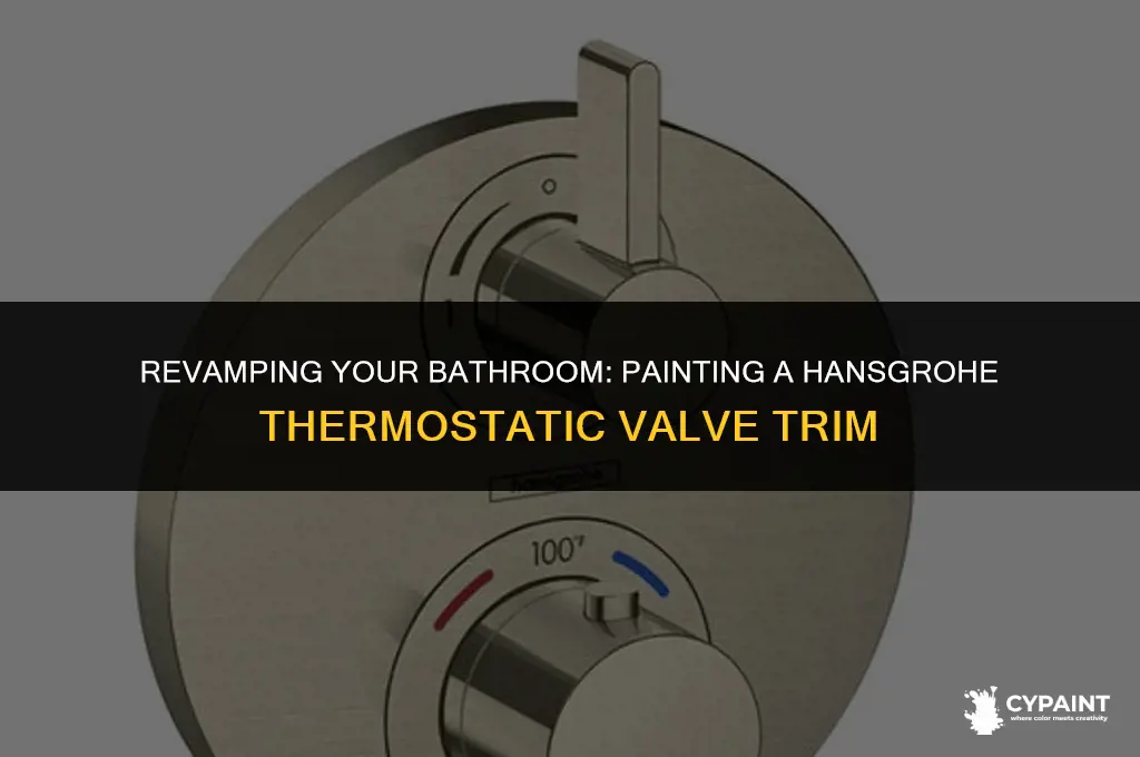 can you paint a hansgrohe thermostatic valve trim