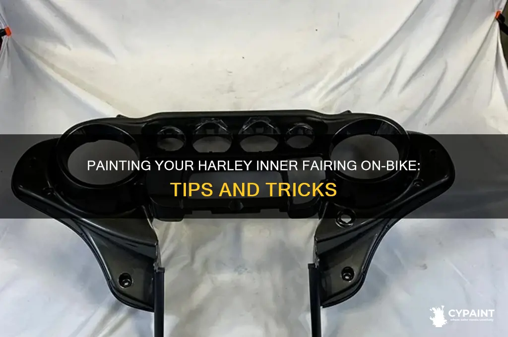 can you paint a harley inner fairing on the bike