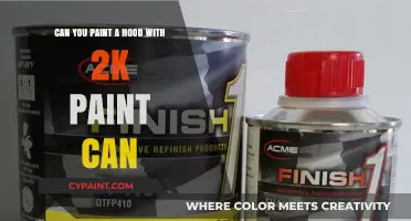Spraying Your Car Hood with 2K Paint: Is It Possible?
