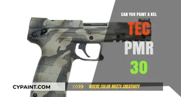 Customizing Your Kel-Tec PMR-30: A Painter's Guide