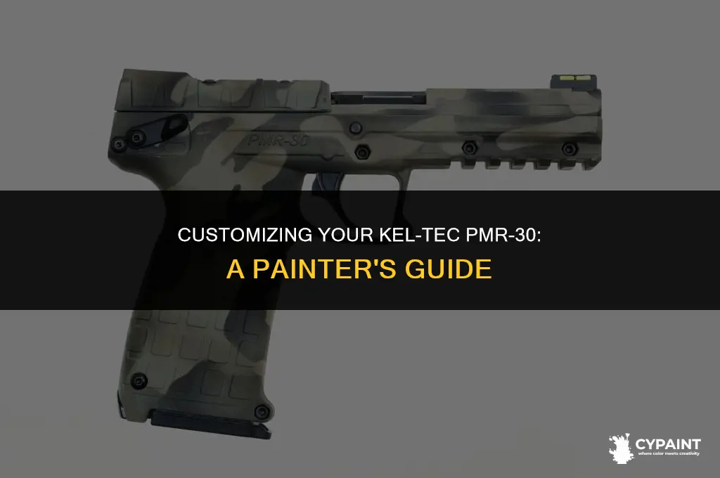 can you paint a kel tec pmr 30