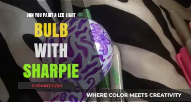 Customizing LED Bulbs: Sharpie Art