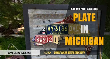 Revamping Your Ride: Michigan's License Plate Painting Laws Explained
