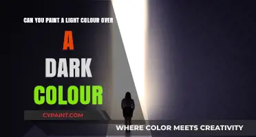 Painting Light Over Dark: Tips for a Flawless Color Transformation